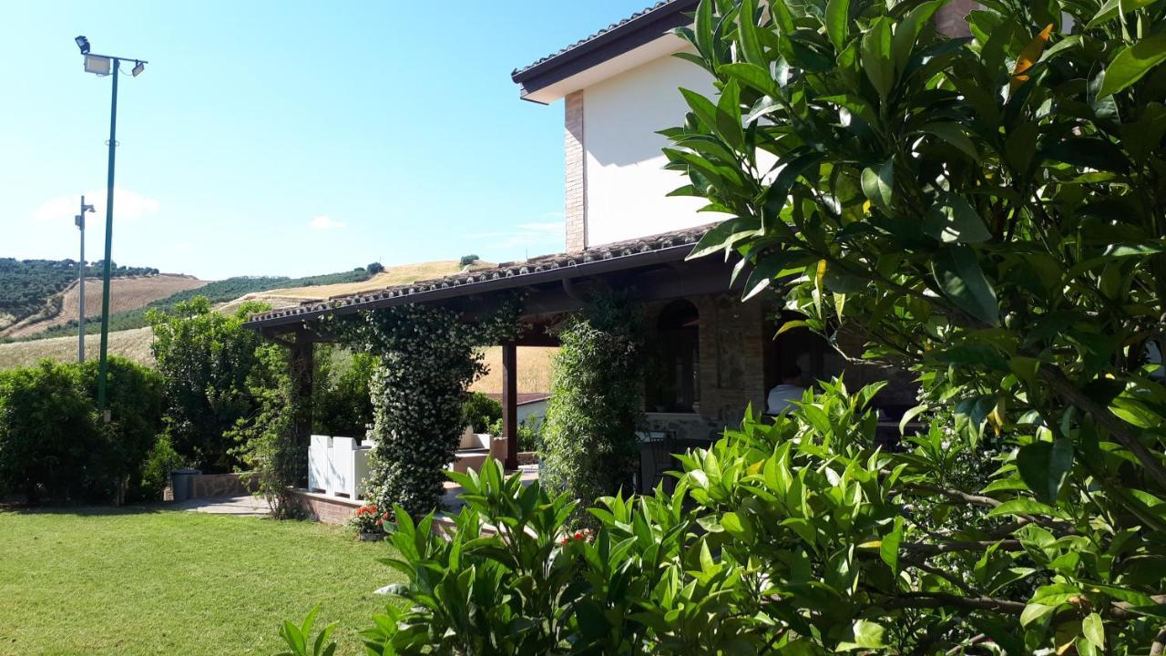 Agriturismo Trappeto Vecchio San Demetrio Corone Exterior photo