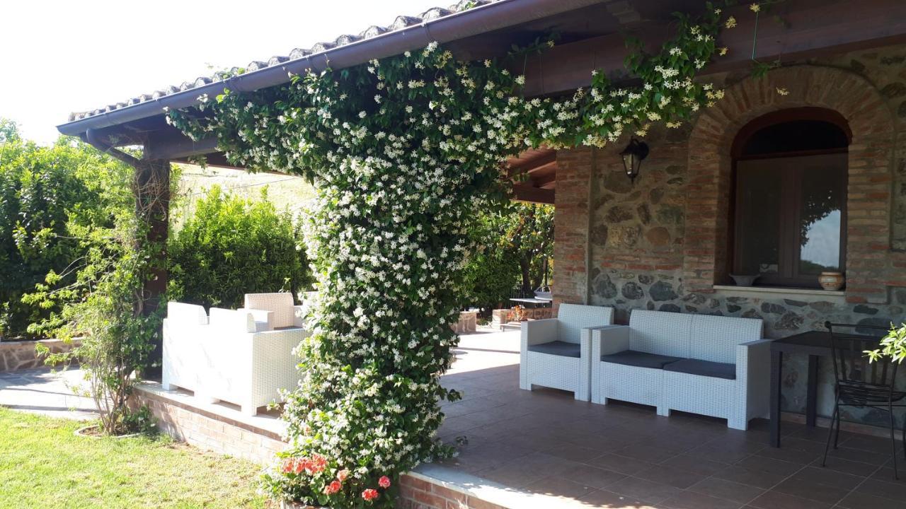 Agriturismo Trappeto Vecchio San Demetrio Corone Exterior photo