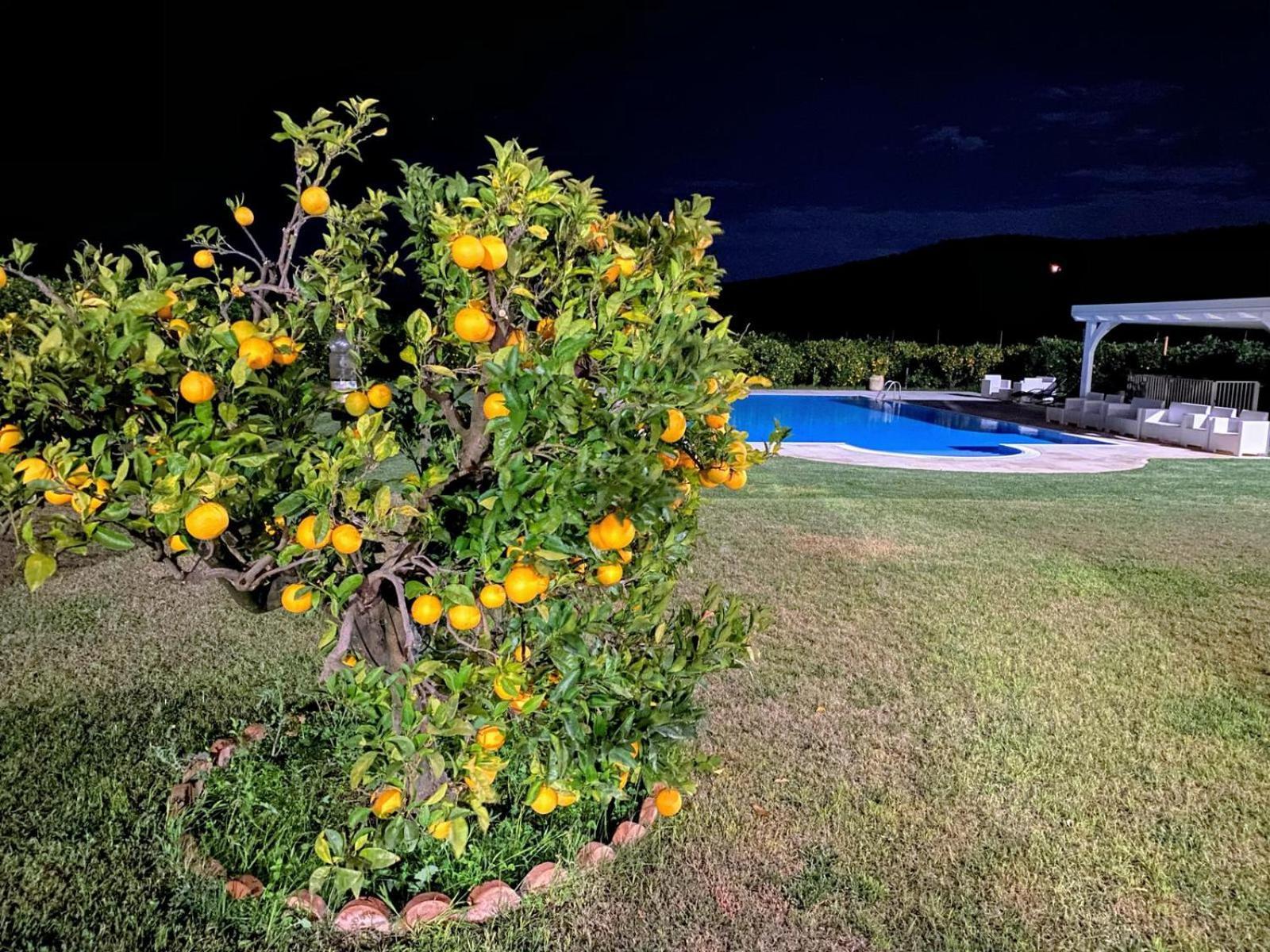 Agriturismo Trappeto Vecchio San Demetrio Corone Exterior photo
