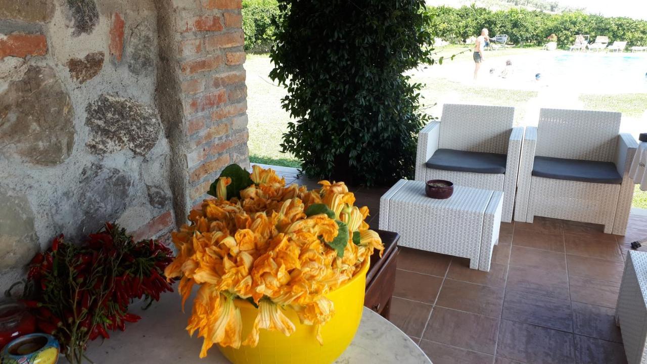 Agriturismo Trappeto Vecchio San Demetrio Corone Exterior photo