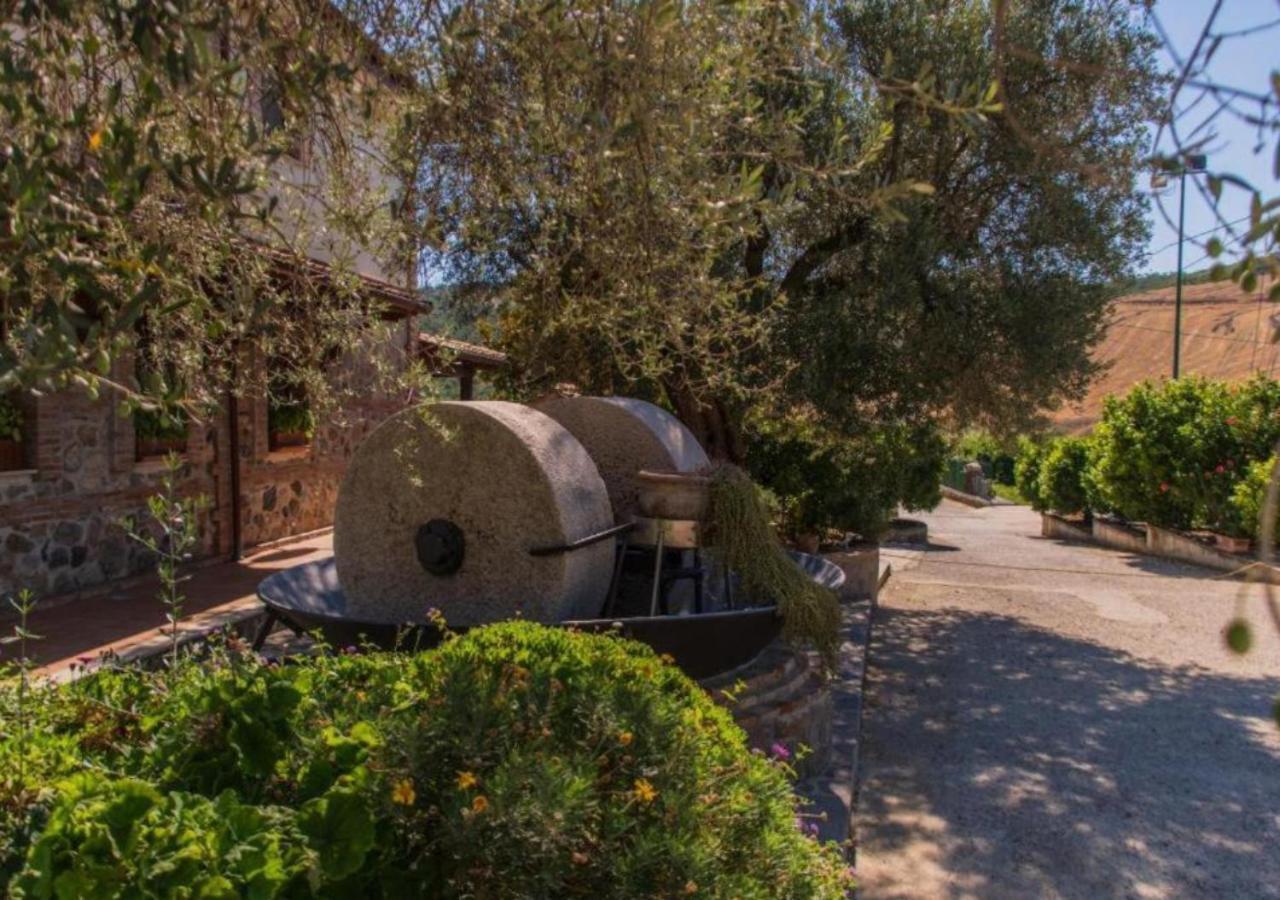 Agriturismo Trappeto Vecchio San Demetrio Corone Exterior photo